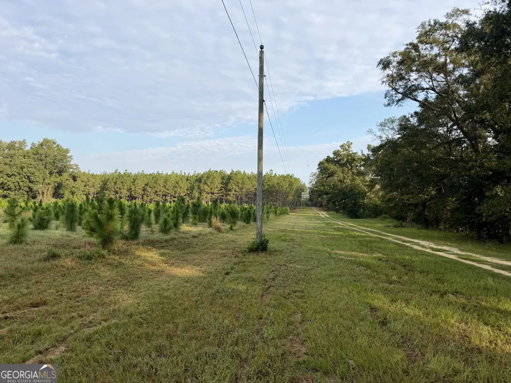 652 L A Peterson RD Rhine, GA 31077