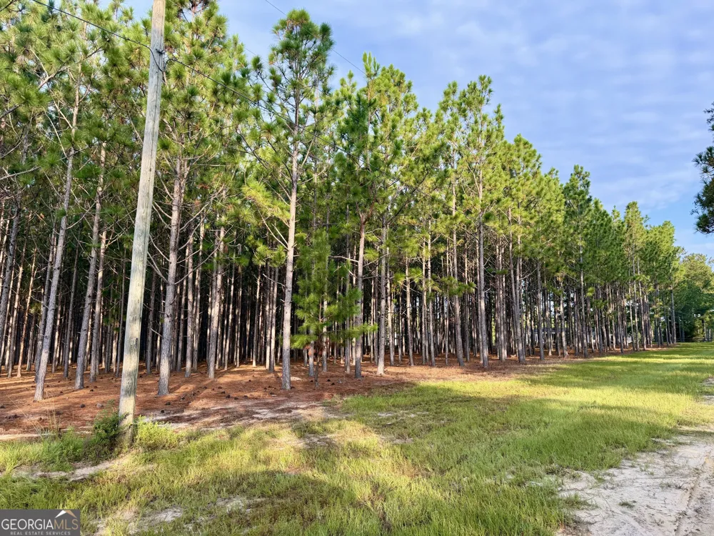 652 L A Peterson RD Rhine, GA 31077