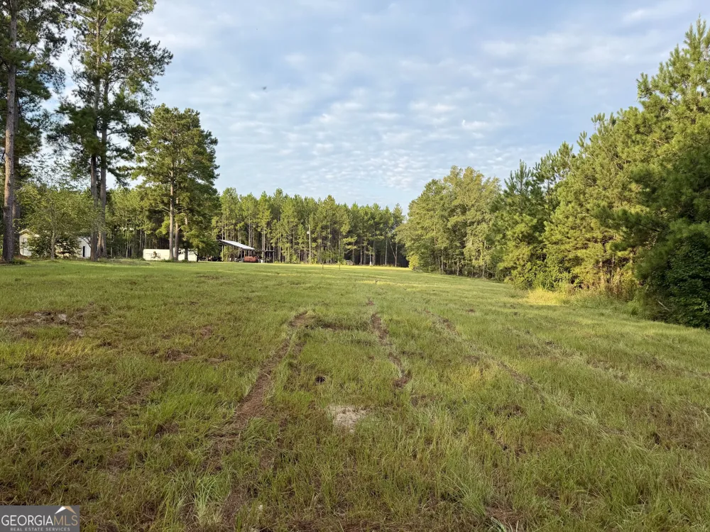 652 L A Peterson RD Rhine, GA 31077