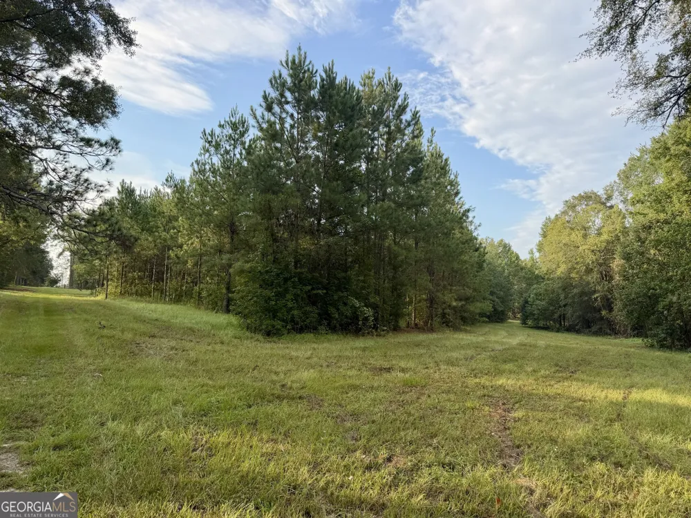 652 L A Peterson RD Rhine, GA 31077
