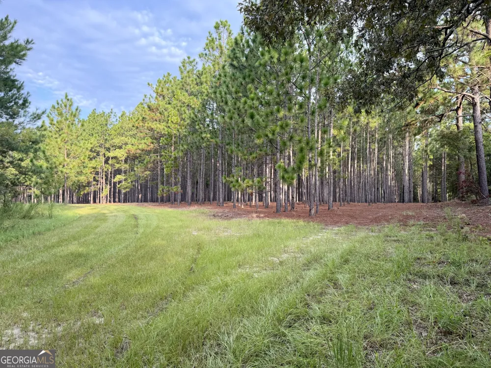 652 L A Peterson RD Rhine, GA 31077