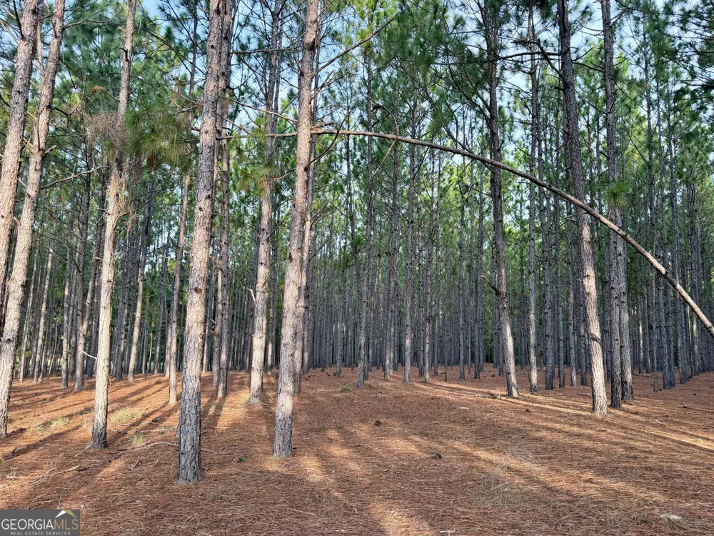 652 L A Peterson RD Rhine, GA 31077
