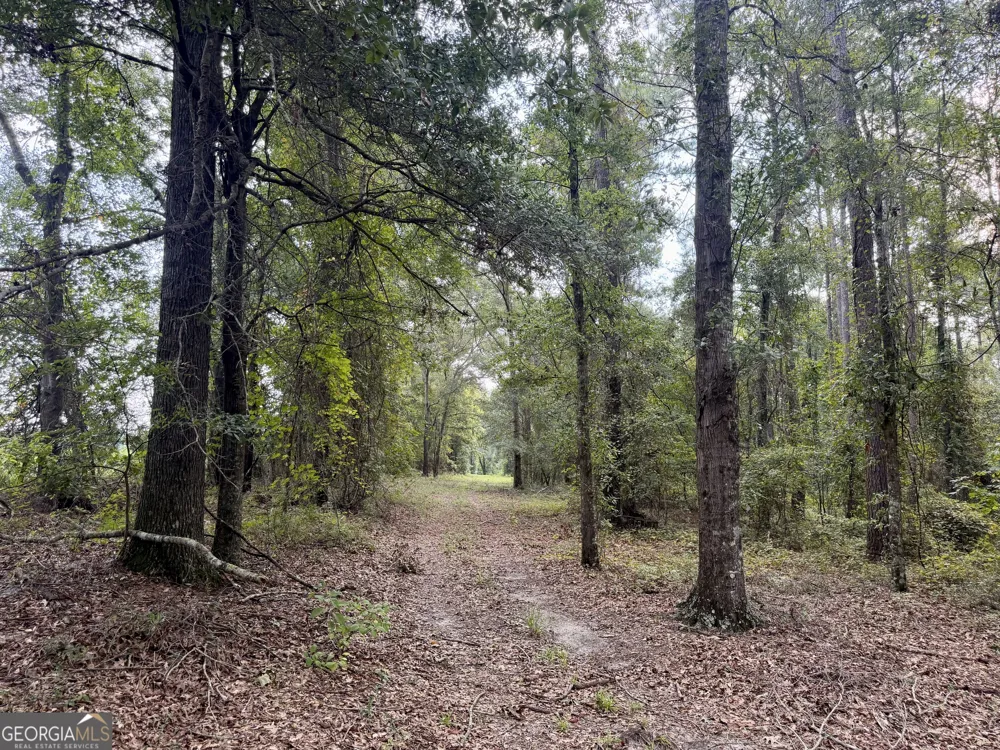 652 L A Peterson RD Rhine, GA 31077