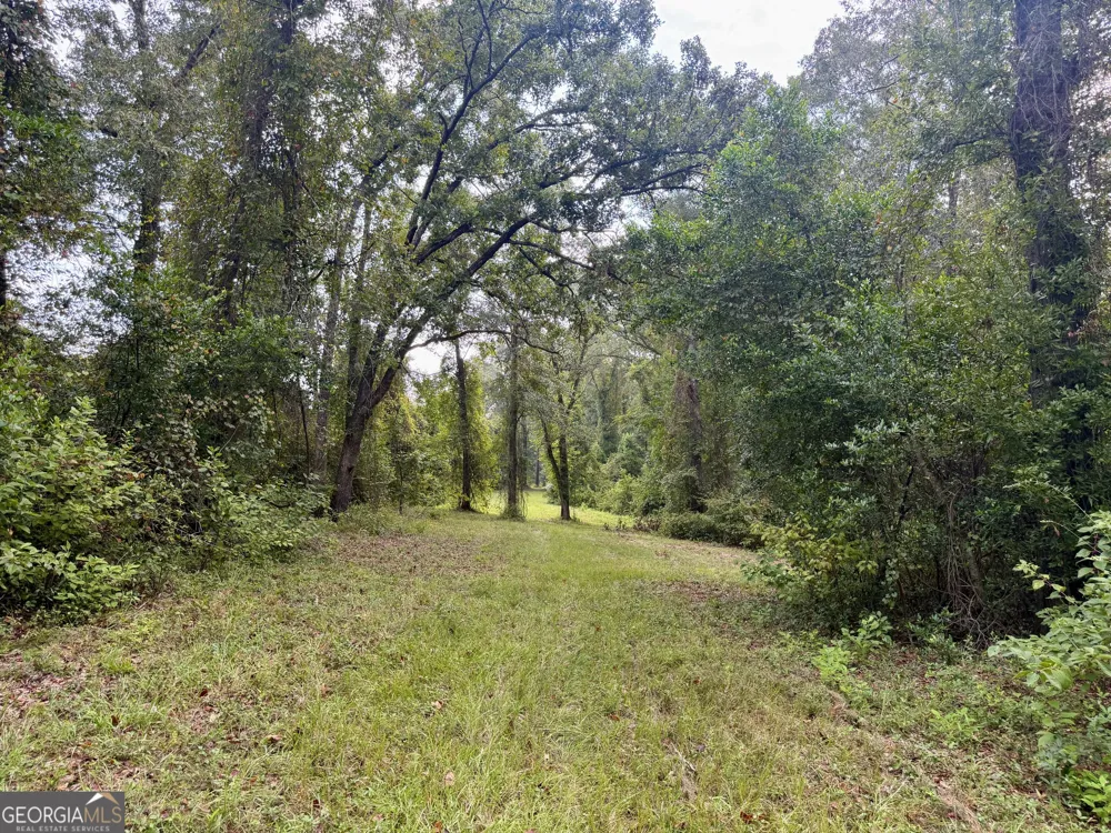 652 L A Peterson RD Rhine, GA 31077