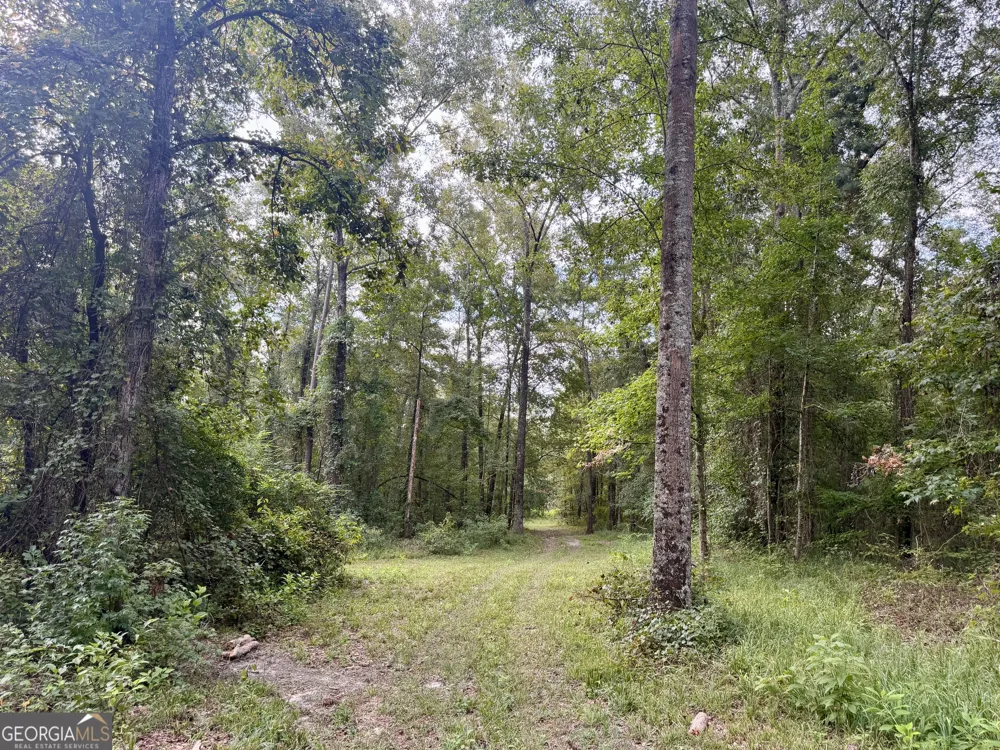 652 L A Peterson RD Rhine, GA 31077