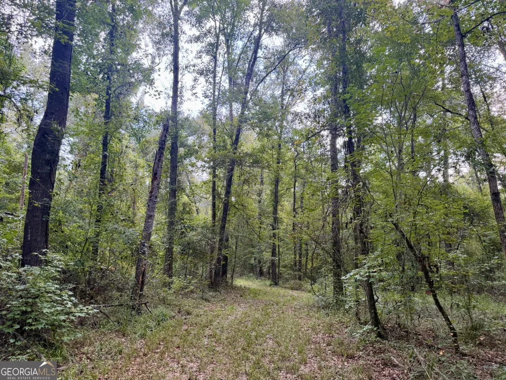 652 L A Peterson RD Rhine, GA 31077