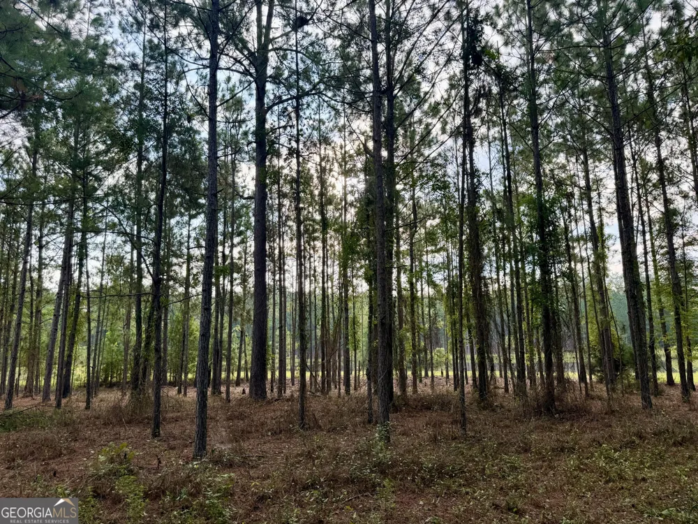 652 L A Peterson RD Rhine, GA 31077