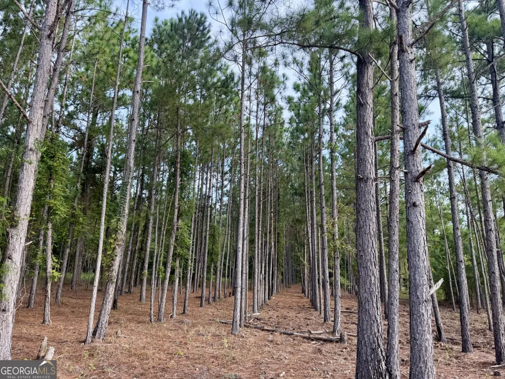 652 L A Peterson RD Rhine, GA 31077
