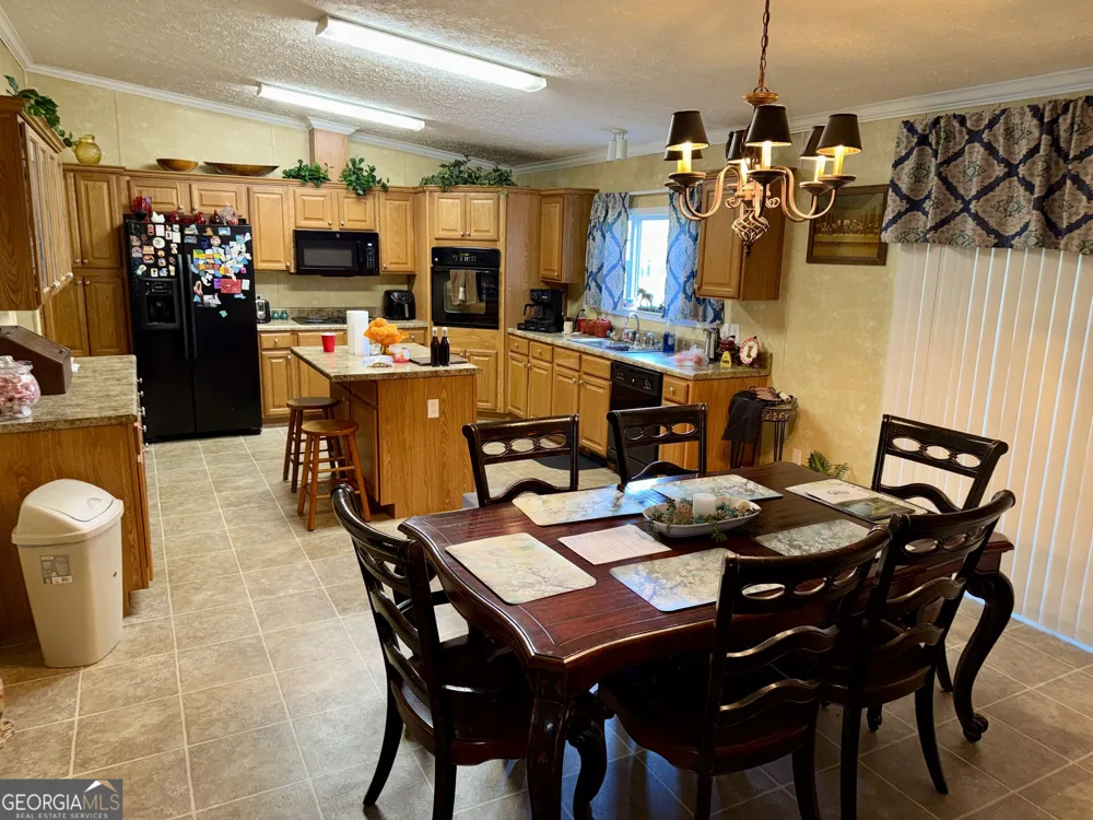 652 L A Peterson RD Rhine, GA 31077