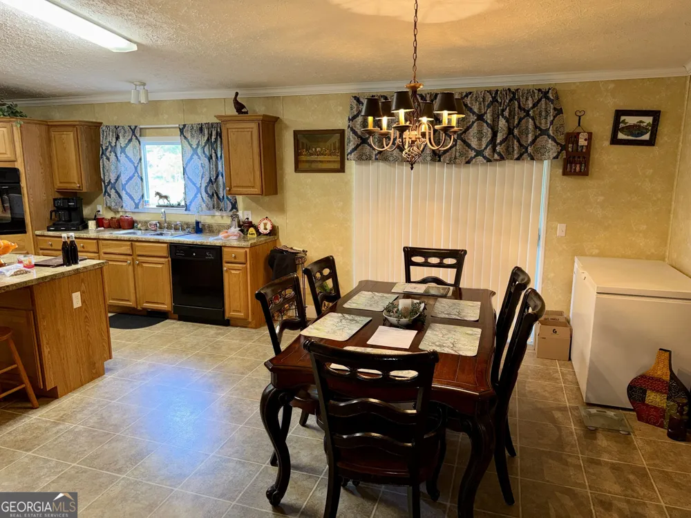 652 L A Peterson RD Rhine, GA 31077