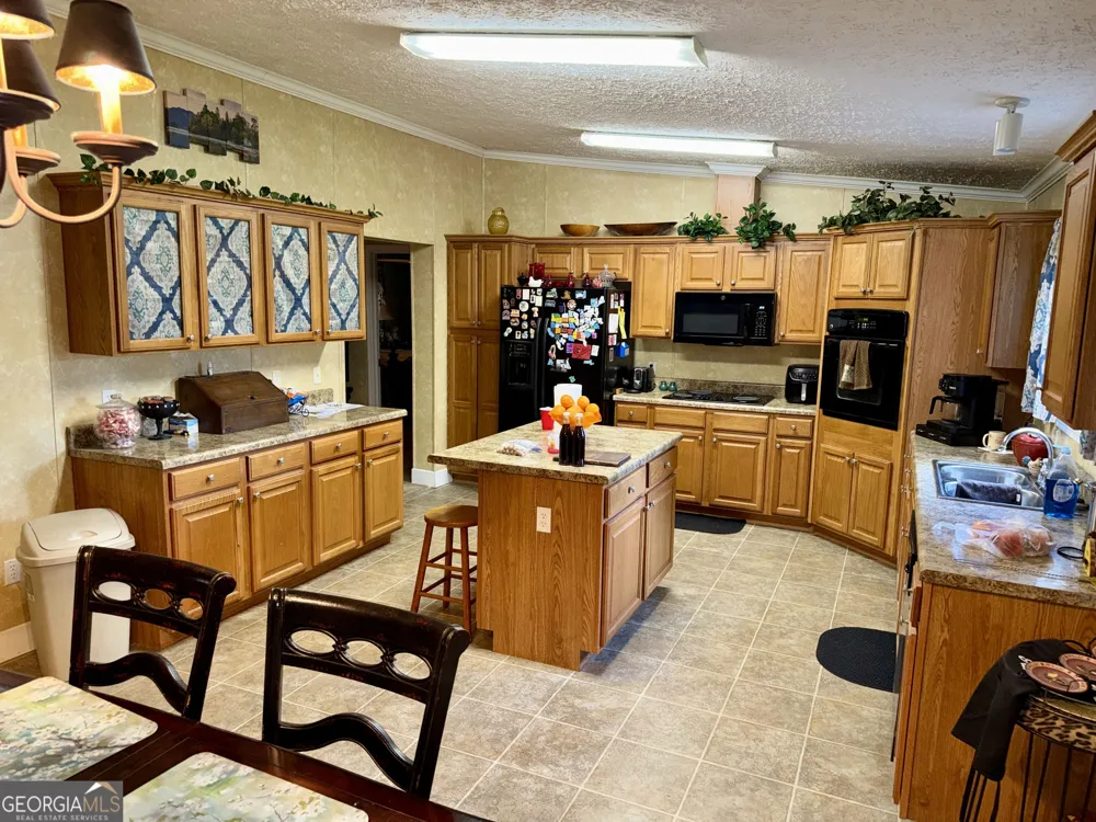652 L A Peterson RD Rhine, GA 31077