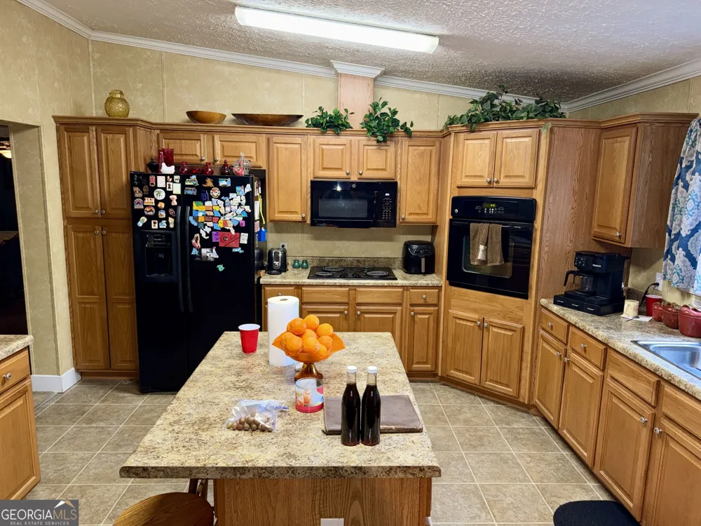 652 L A Peterson RD Rhine, GA 31077