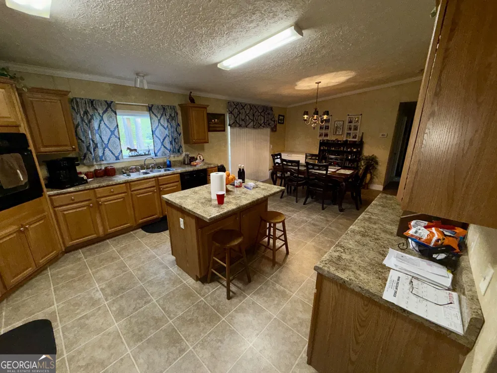 652 L A Peterson RD Rhine, GA 31077