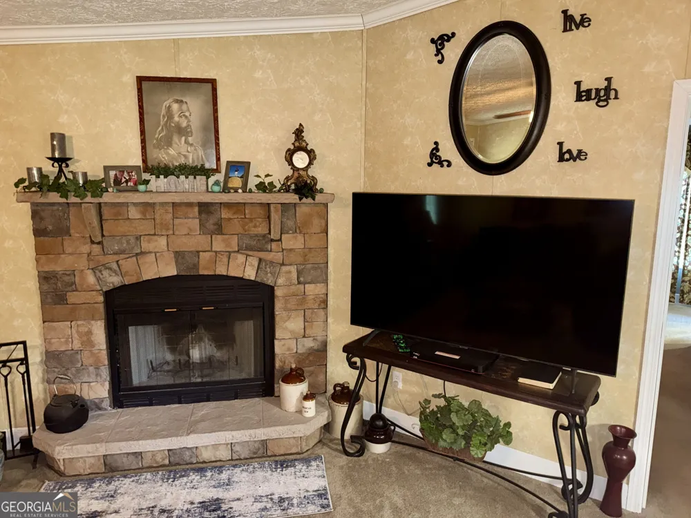 652 L A Peterson RD Rhine, GA 31077