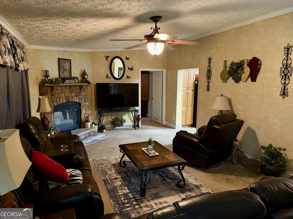 652 L A Peterson RD Rhine, GA 31077