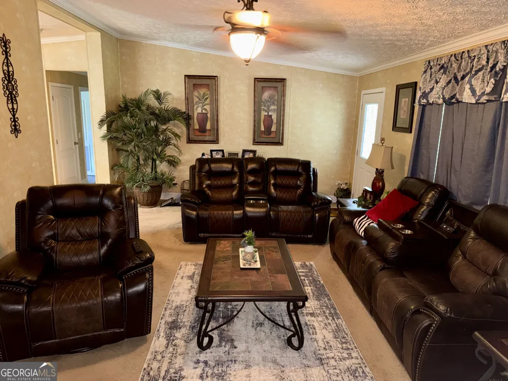 652 L A Peterson RD Rhine, GA 31077