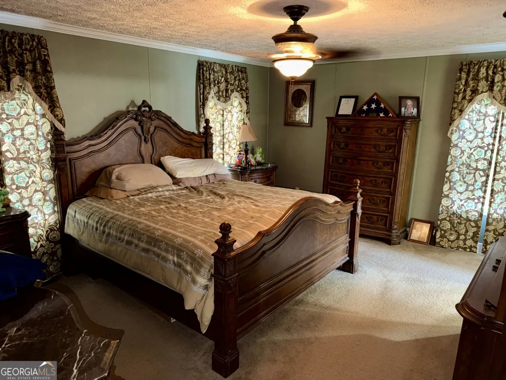 652 L A Peterson RD Rhine, GA 31077