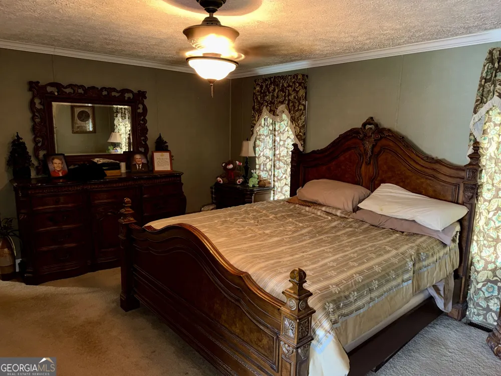 652 L A Peterson RD Rhine, GA 31077