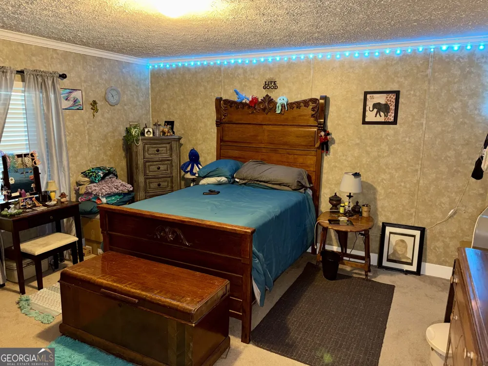 652 L A Peterson RD Rhine, GA 31077