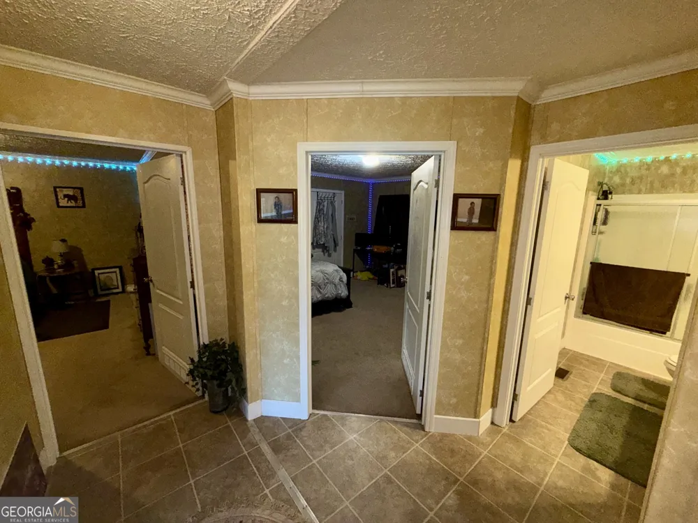 652 L A Peterson RD Rhine, GA 31077