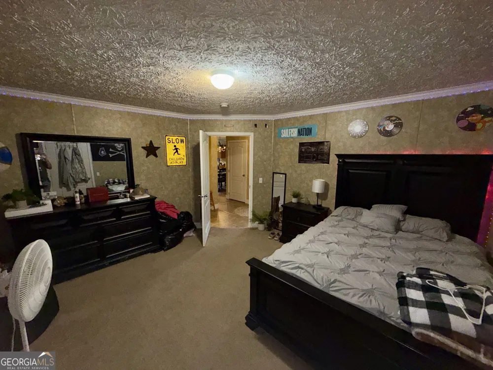 652 L A Peterson RD Rhine, GA 31077