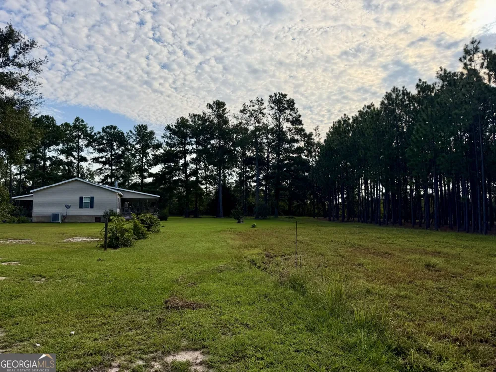 652 L A Peterson RD Rhine, GA 31077