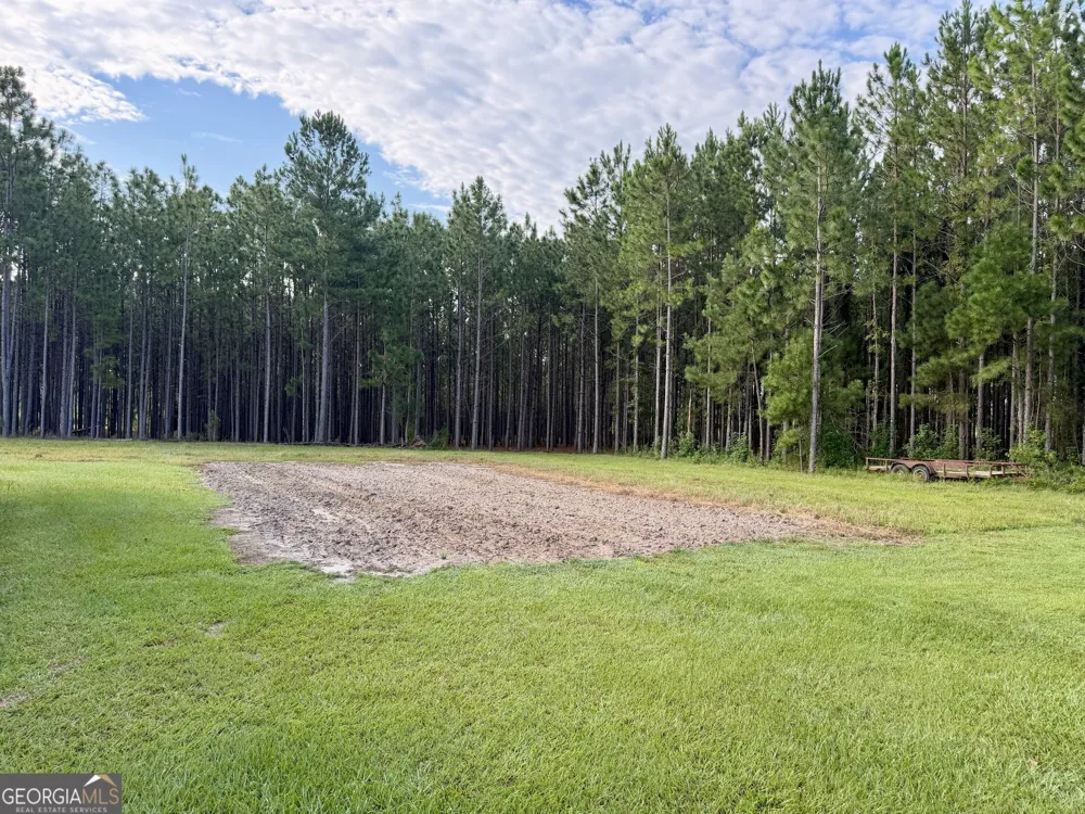 652 L A Peterson RD Rhine, GA 31077