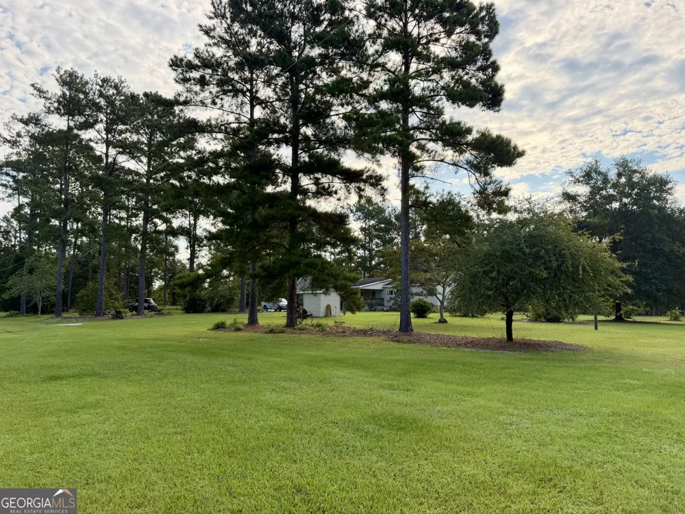 652 L A Peterson RD Rhine, GA 31077