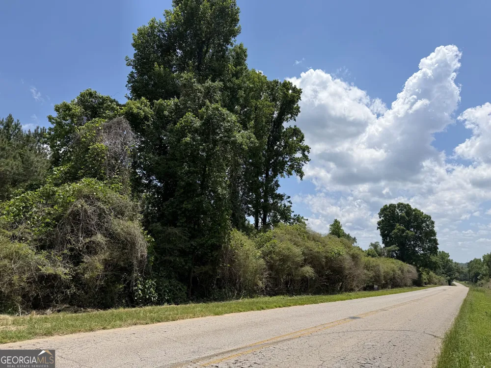 0 County Road 87 Roanoke, AL 36274