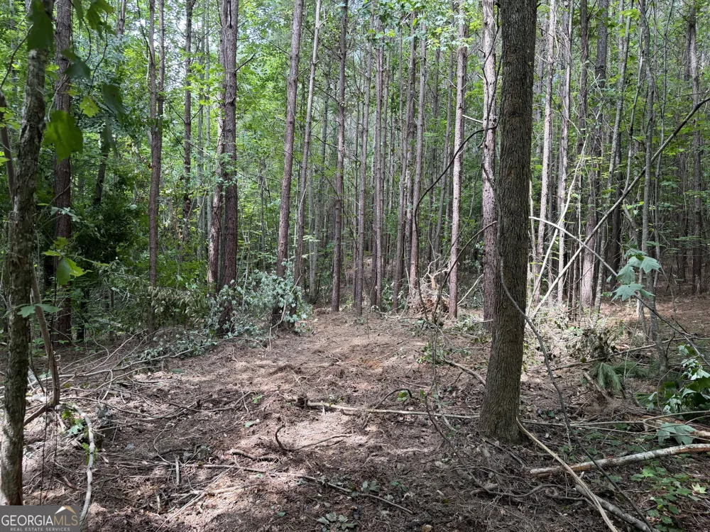 0 County Road 87 Roanoke, AL 36274