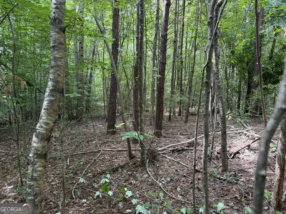 0 County Road 87 Roanoke, AL 36274