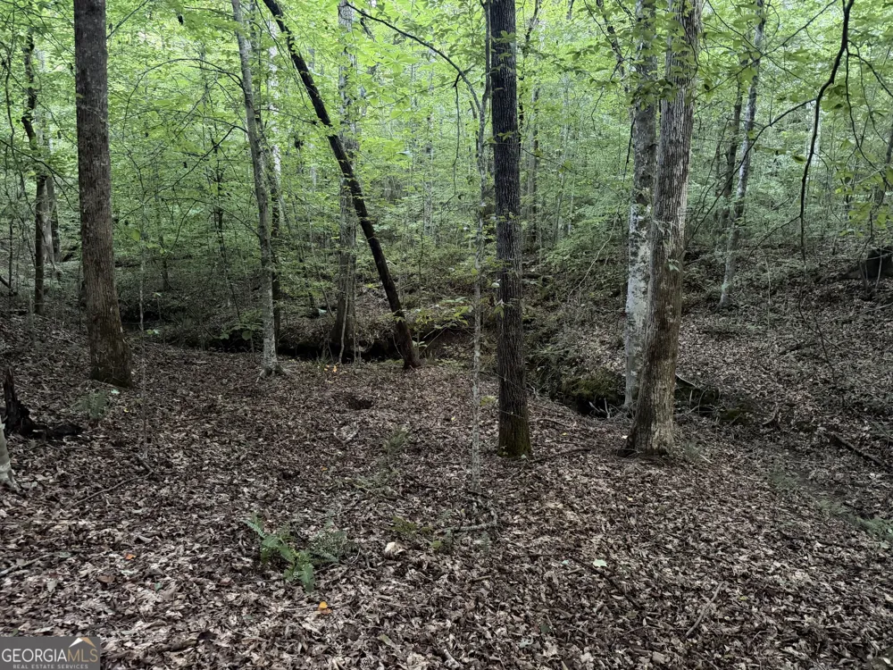 0 County Road 87 Roanoke, AL 36274