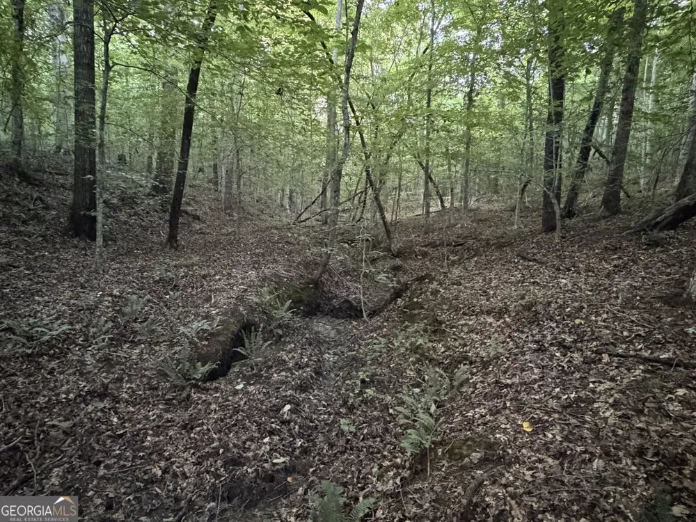 0 County Road 87 Roanoke, AL 36274