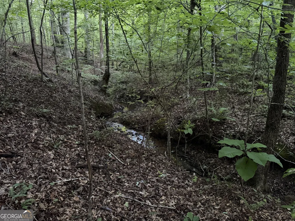 0 County Road 87 Roanoke, AL 36274