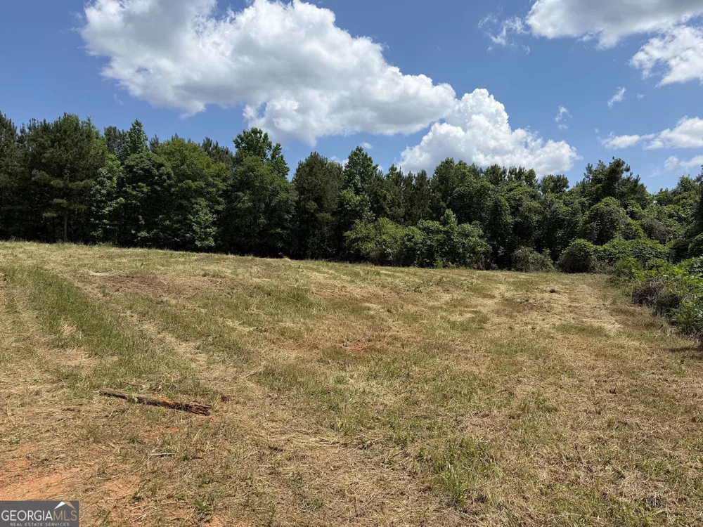 0 County Road 87 Roanoke, AL 36274