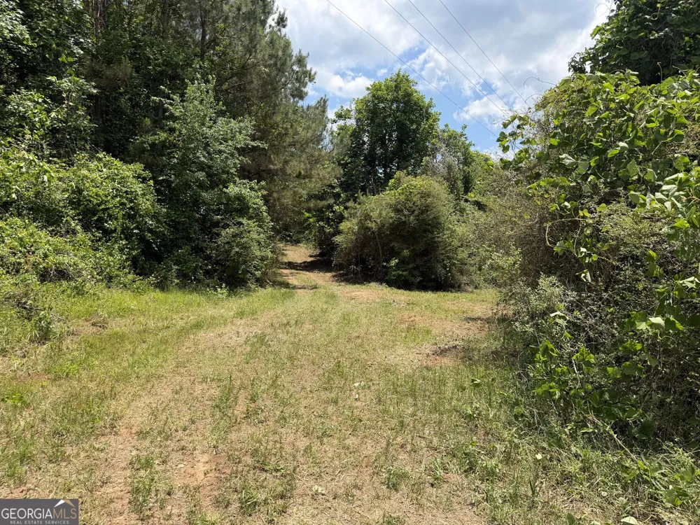 0 County Road 87 Roanoke, AL 36274