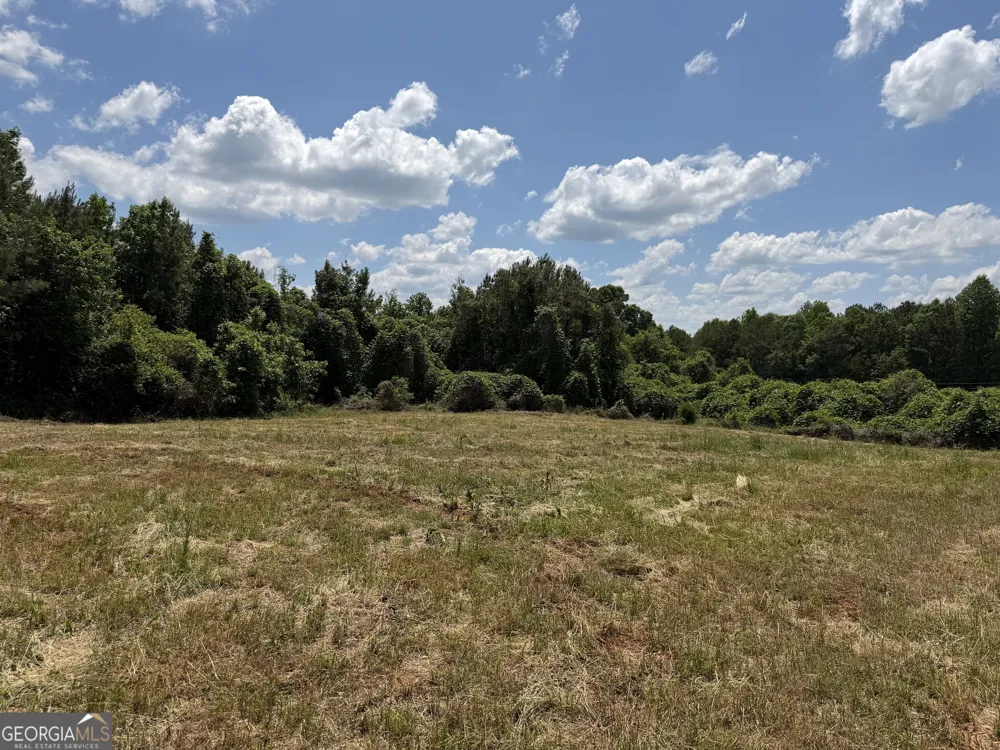 0 County Road 87 Roanoke, AL 36274