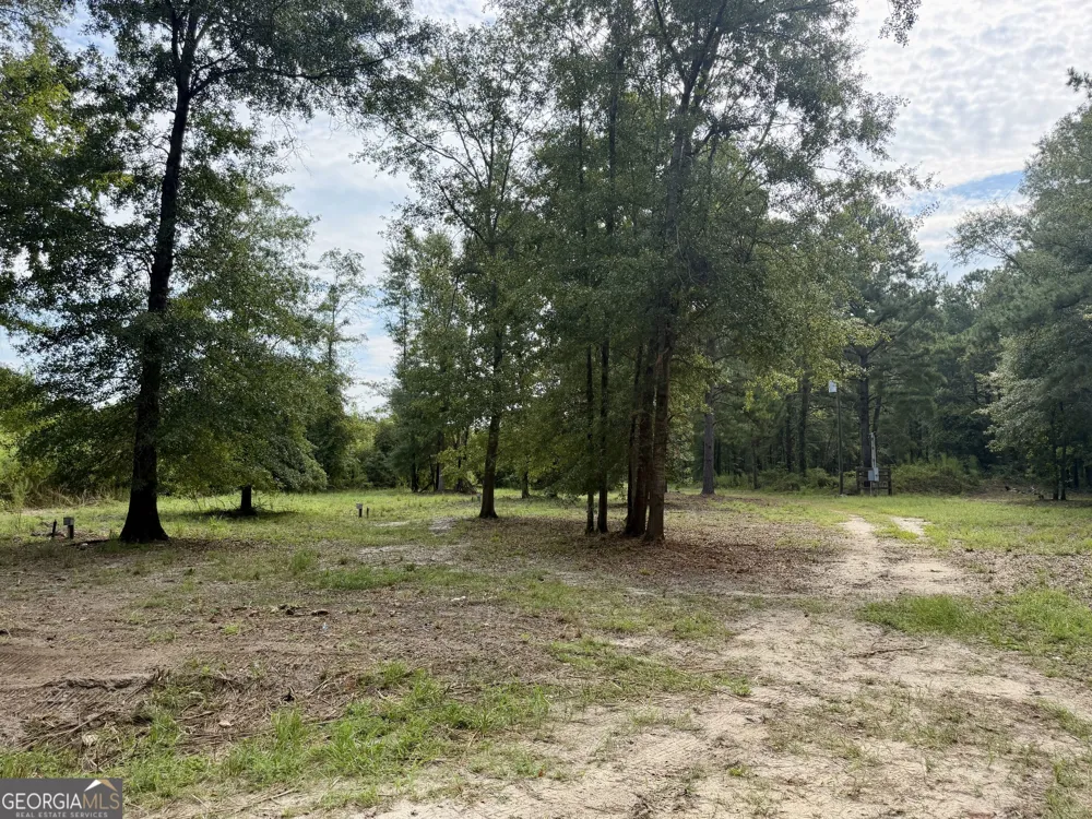 0 S. Ocmulgee BLVD Jacksonville, GA 31544