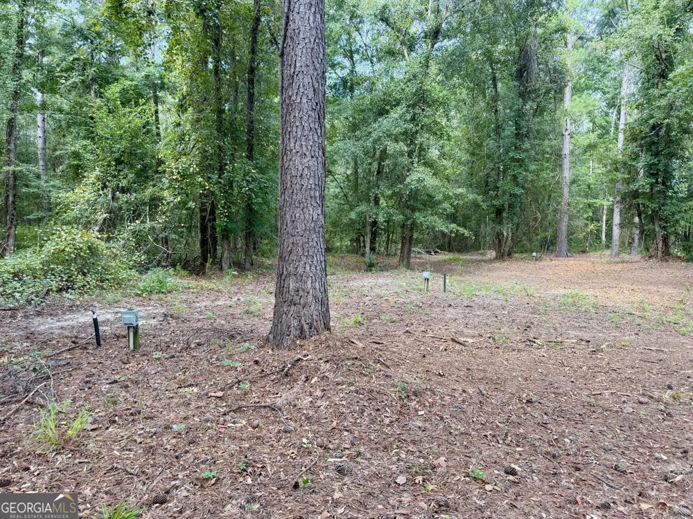 0 S. Ocmulgee BLVD Jacksonville, GA 31544