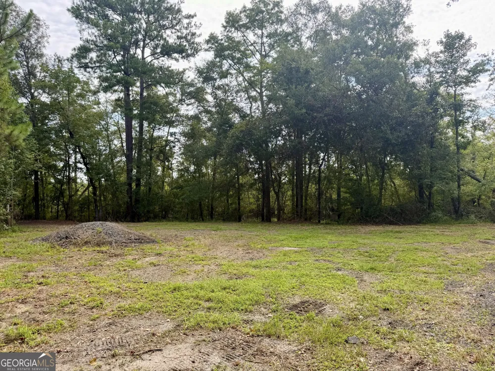 0 S. Ocmulgee BLVD Jacksonville, GA 31544