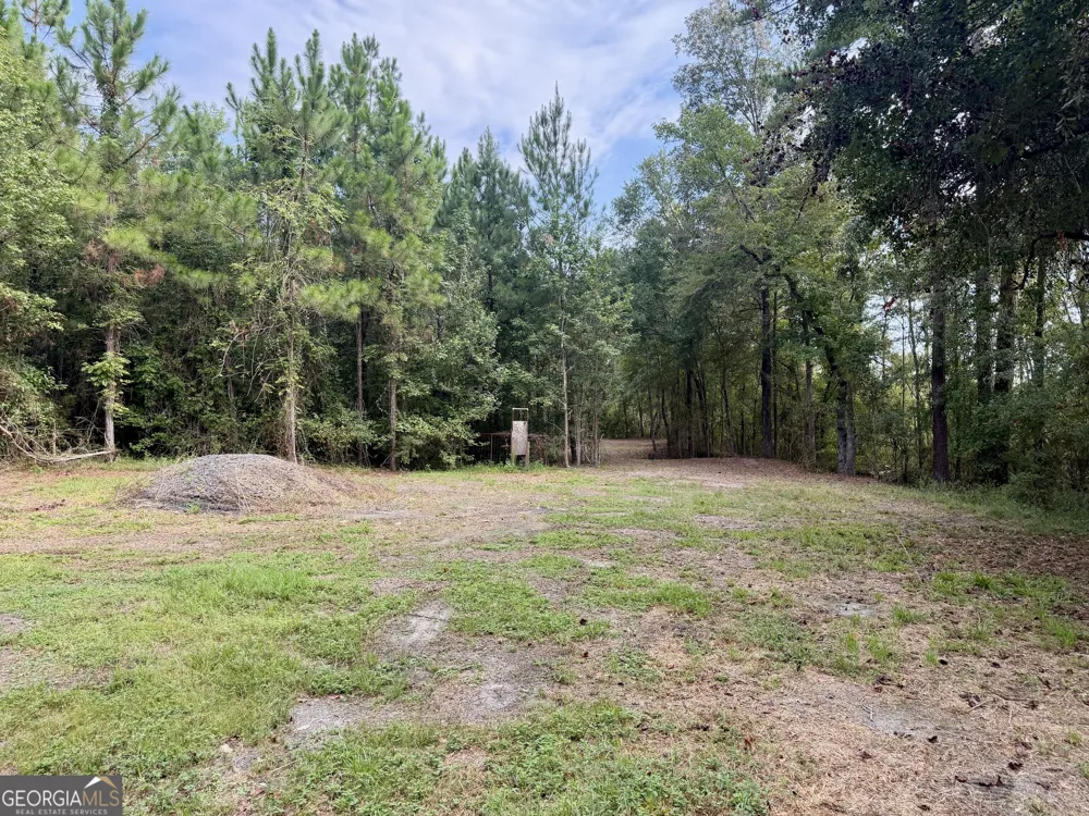 0 S. Ocmulgee BLVD Jacksonville, GA 31544