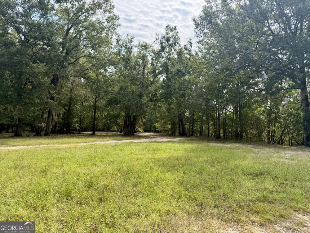 0 S. Ocmulgee BLVD Jacksonville, GA 31544
