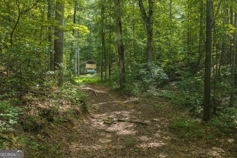 300 Sumac LN Ellijay, GA 30540