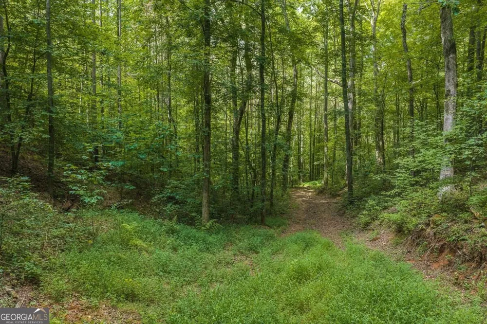 300 Sumac LN Ellijay, GA 30540