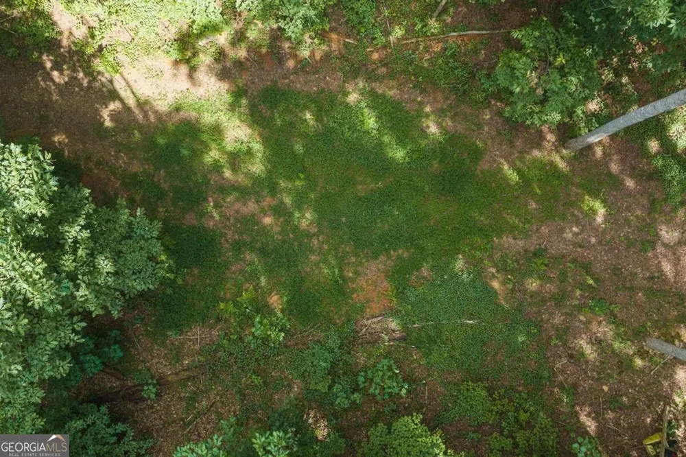 300 Sumac LN Ellijay, GA 30540