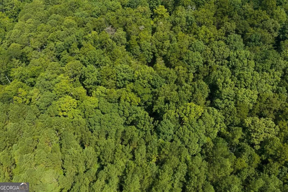 300 Sumac LN Ellijay, GA 30540