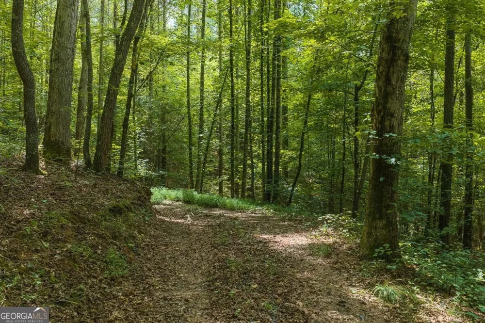 300 Sumac LN Ellijay, GA 30540