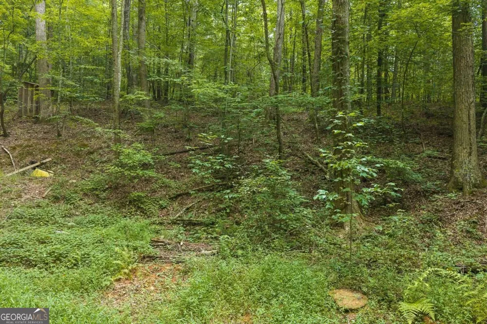 300 Sumac LN Ellijay, GA 30540