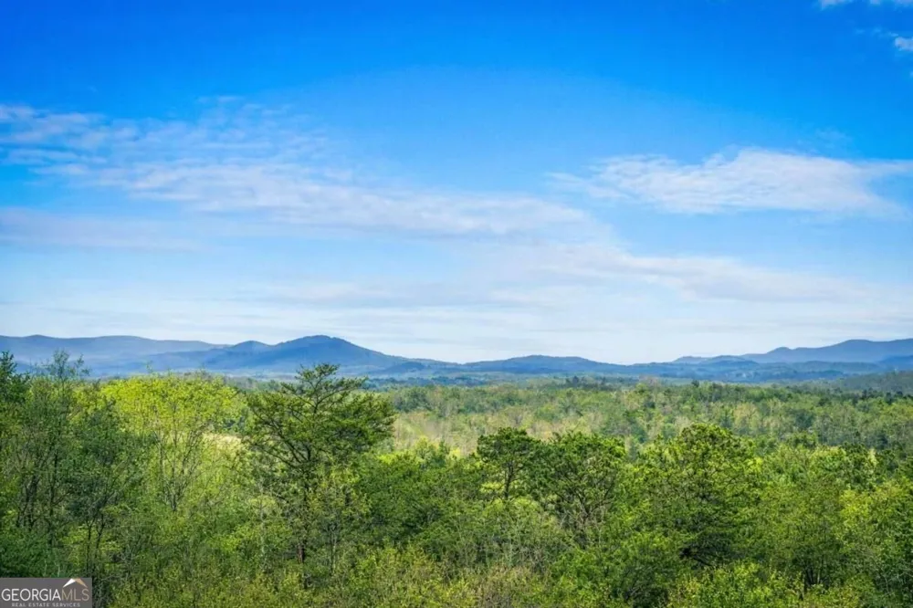 259 Red Bush School RD Blue Ridge, GA 30513