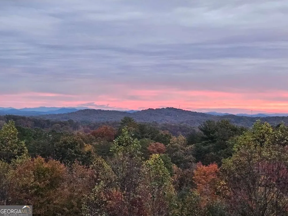 259 Red Bush School RD Blue Ridge, GA 30513